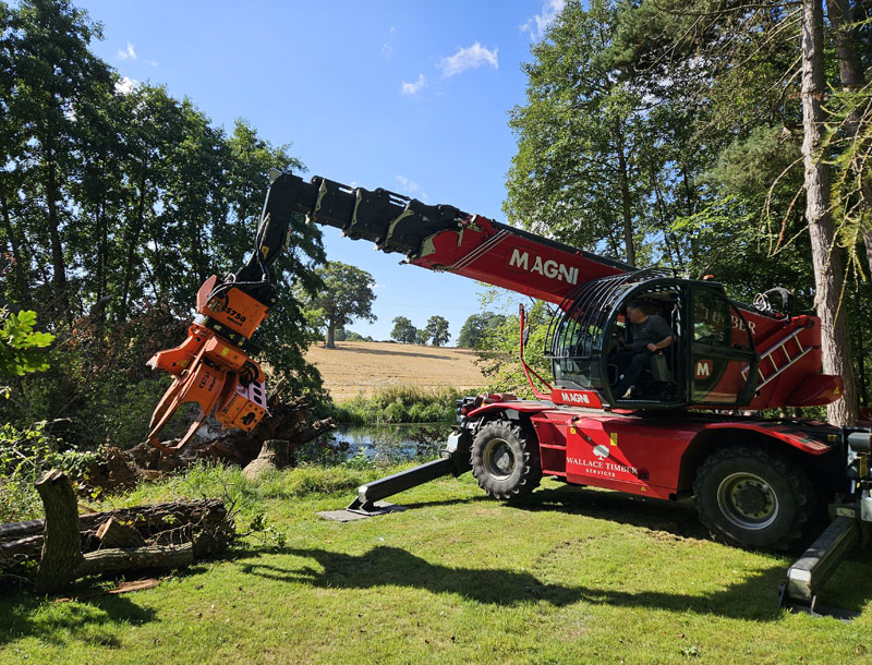 Tree Felling